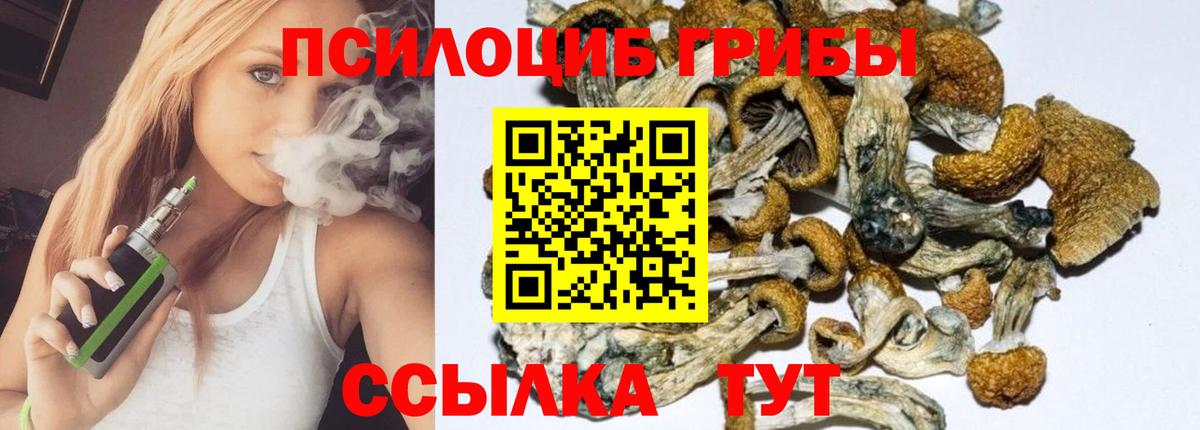 Рузаевка  купить наркотик  Вход с VPN  Псилоцибиновые грибы GOLDEN TEACHER 
