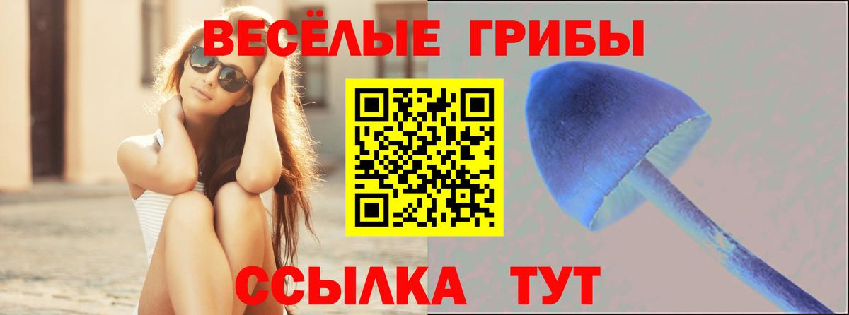 Псилоцибиновые грибы прущие грибы Рузаевка